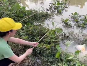 掌握钓鱼技巧，成为威震江湖的高手（威震江湖）
