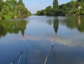 如何在垂钓大鱼时正确提竿遛鱼？掌握这些技巧了吗？