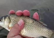 如何通过钓鱼技巧小细节显著降低断杆几率？