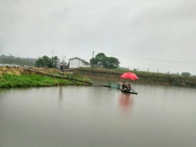 鱼塘钓鱼技巧（掌握钓鱼技巧）