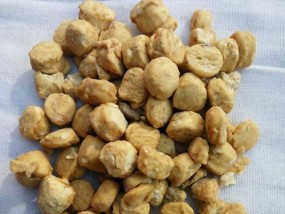 钓鱼技巧新手入门小药材？如何选择合适的钓鱼小药材？