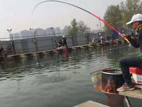 夜钓黑坑的技巧与经验（钓鱼新手如何在夜晚成功捕获黑坑中的鱼类）