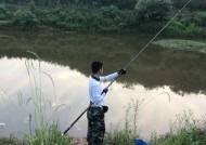 冬天钓鱼技巧和口诀是什么？如何提高冬季钓鱼成功率？