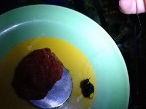 如何应对钓鱼时遇到的吃口小问题？