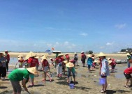 赶海钓鱼小技巧（掌握赶海钓鱼要领）