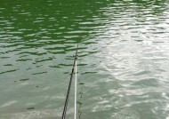 冷水钓鱼的技巧与策略（钓鱼温度的关键性及其影响因素）