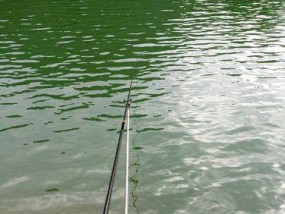 冷水钓鱼的技巧与策略（钓鱼温度的关键性及其影响因素）