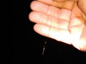 北方夜钓鲤鱼技巧及方法教程？如何提高夜钓鲤鱼的成功率？