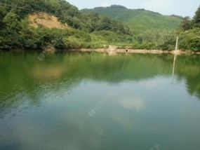 深山老林中钓鱼的绝佳技巧（探秘钓鱼高手的心得与经验）