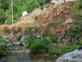 深山水潭钓鱼技巧（掌握这些技巧）