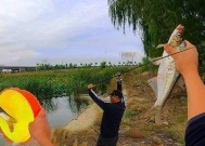 海竿定点钓浮技巧是什么？如何提高钓浮成功率？