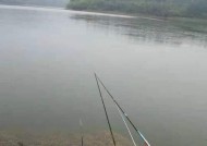 海竿钓鱼技巧及方法有哪些？如何提高海竿钓鱼的成功率？