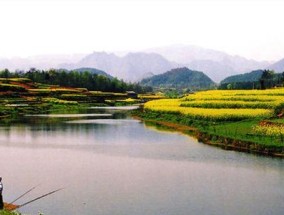 板芙界河钓鱼技巧有哪些？如何提高钓鱼成功率？