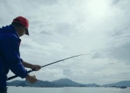 夏季野钓鲤鱼用海竿有哪些技巧？如何提高夏季海竿钓鲤鱼的成功率？