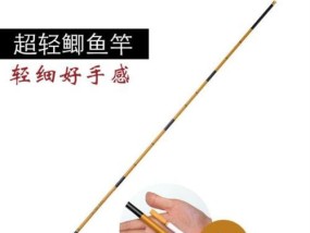 如何掌握钓鱼不断竿技巧教程？常见问题有哪些？