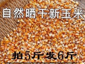 爆米花磨粉钓鱼技巧有哪些？如何提高钓鱼成功率？