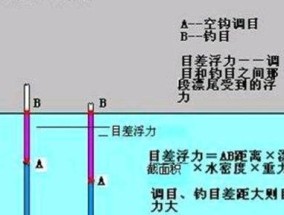 水库钓鱼技巧（钓鱼高手必备，教你如何调节浮漂，提升钓鱼效果）