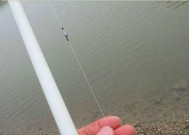 海竿夜钓如何调漂？掌握这些技巧和方法轻松上鱼！