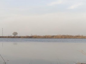 大水面湖面钓鱼技巧有哪些？如何提高钓鱼成功率？