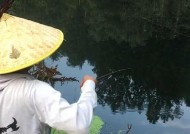 探寻底部之道——野外钓鱼技巧（技巧实用）