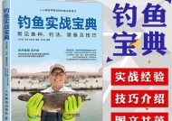 如何掌握蹲点钓鱼的技巧？教程中有哪些常见问题解答？