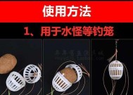 海竿钓七星钓鱼技巧有哪些？如何提高钓七星鱼的成功率？