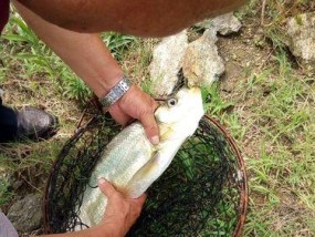 丹江口野钓技巧有哪些？如何提高钓鱼成功率？