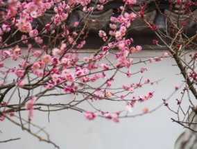 晚冬早春钓鱼技巧（享受寒冷季节的丰收）