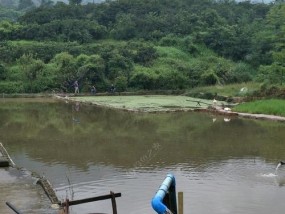 夏日钓鱼的乐趣（济宁炎热天气下的钓鱼技巧）