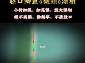 钓鱼漂相的技巧有哪些？如何通过漂相判断鱼儿上钩？