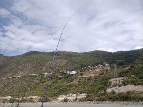 钓鱼技巧大揭秘（避免跑鱼的绝招，让你钓鱼！）