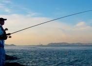 冬天大雾天气如何进行手竿垂钓？有哪些技巧可以提高成功率？