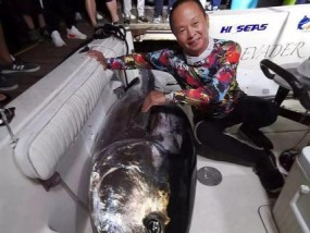 海上拖钓金枪鱼钓鱼技巧有哪些？如何提高钓获率？