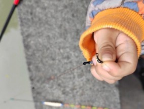 如何快速掌握钓鱼牌技巧教学？常见问题有哪些？