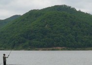 冬天浅水塘钓鱼技巧有哪些？如何提高冬季钓鱼成功率？
