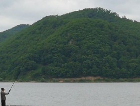 冬天浅水塘钓鱼技巧有哪些？如何提高冬季钓鱼成功率？