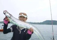 海上钓鱼技巧和注意事项教程？如何安全享受钓鱼乐趣？