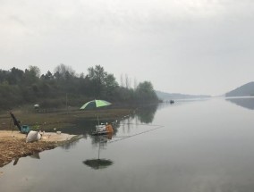 福州山体水库钓鱼技巧（掌握福州山体水库钓鱼的技巧）
