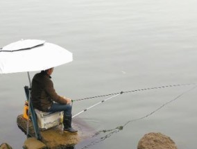 如何提高钓鱼技巧？掌握这10个技巧让你成为钓鱼高手！