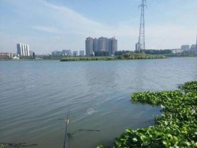 赖家河钓鱼技巧大揭秘（掌握赖家河钓鱼的窍门）