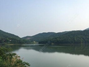 水库钓鱼技巧-牛粪打窝（提升水库钓鱼效果的利器-牛粪打窝技巧）