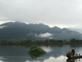 钓野鸭的技巧与方法（掌握合适的工具和策略是成功的关键）