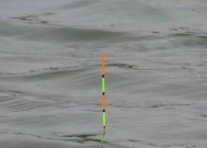 钓跑铅的高效抛竿技巧与方法（掌握正确的姿势与节奏，轻松捕获目标鱼群）