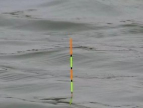 钓跑铅的高效抛竿技巧与方法（掌握正确的姿势与节奏，轻松捕获目标鱼群）
