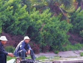 八孔闸钓鱼技巧有哪些？如何提高钓鱼成功率？