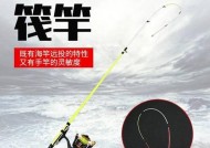 冬天钓鱼技巧海竿有哪些？如何提高冬季海竿钓鱼成功率？