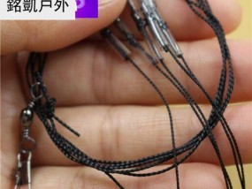 探秘小矶竿串钩钓鱼的绝技（技巧与经验分享）