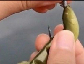 钓重铅沉底的技巧与方法（钓重铅降底的关键技巧与实操指南）