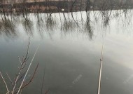 冬天钓鱼用蚯蚓有哪些技巧？如何提高冬季钓鱼成功率？