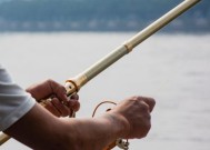 海竿沙坑野钓鲤鱼技巧有哪些？如何提高钓鲤鱼的成功率？